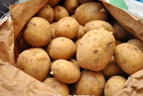Ziemniak 3 kg Ziemniak 3 kg